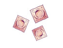 Prod11